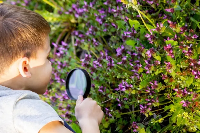 Aventuras Verdes en Asunción: Juegos Seguros y Educativos para Explorar la Naturaleza con tus Pequeños