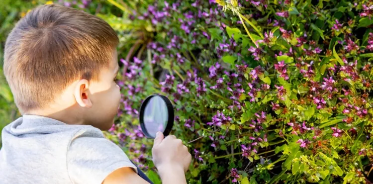 Aventuras Verdes en Asunción: Juegos Seguros y Educativos para Explorar la Naturaleza con tus Pequeños